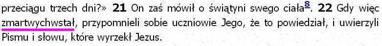 Biblia Tysiąclecia Pallottinum