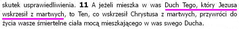 Biblia Tysiąclecia Pallottinum