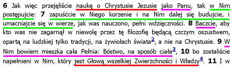 Biblia Tysiąclecia Pallottinum