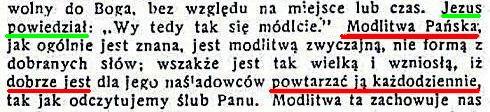 Strażnica 1924 Nr 20