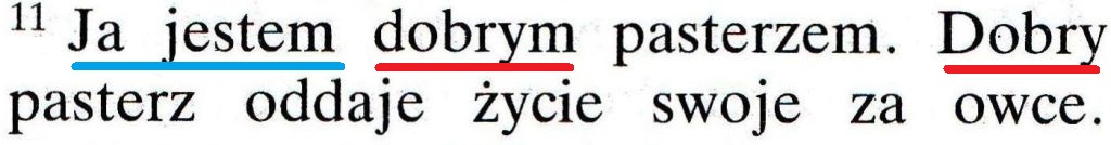 Biblia Poznańska Nowy Testament