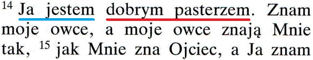 Biblia Poznańska Nowy Testament