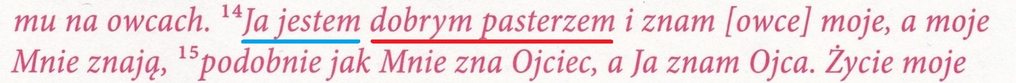 Ewangelia według św. Jana. Katolicki Komentarz do Pisma Świętego