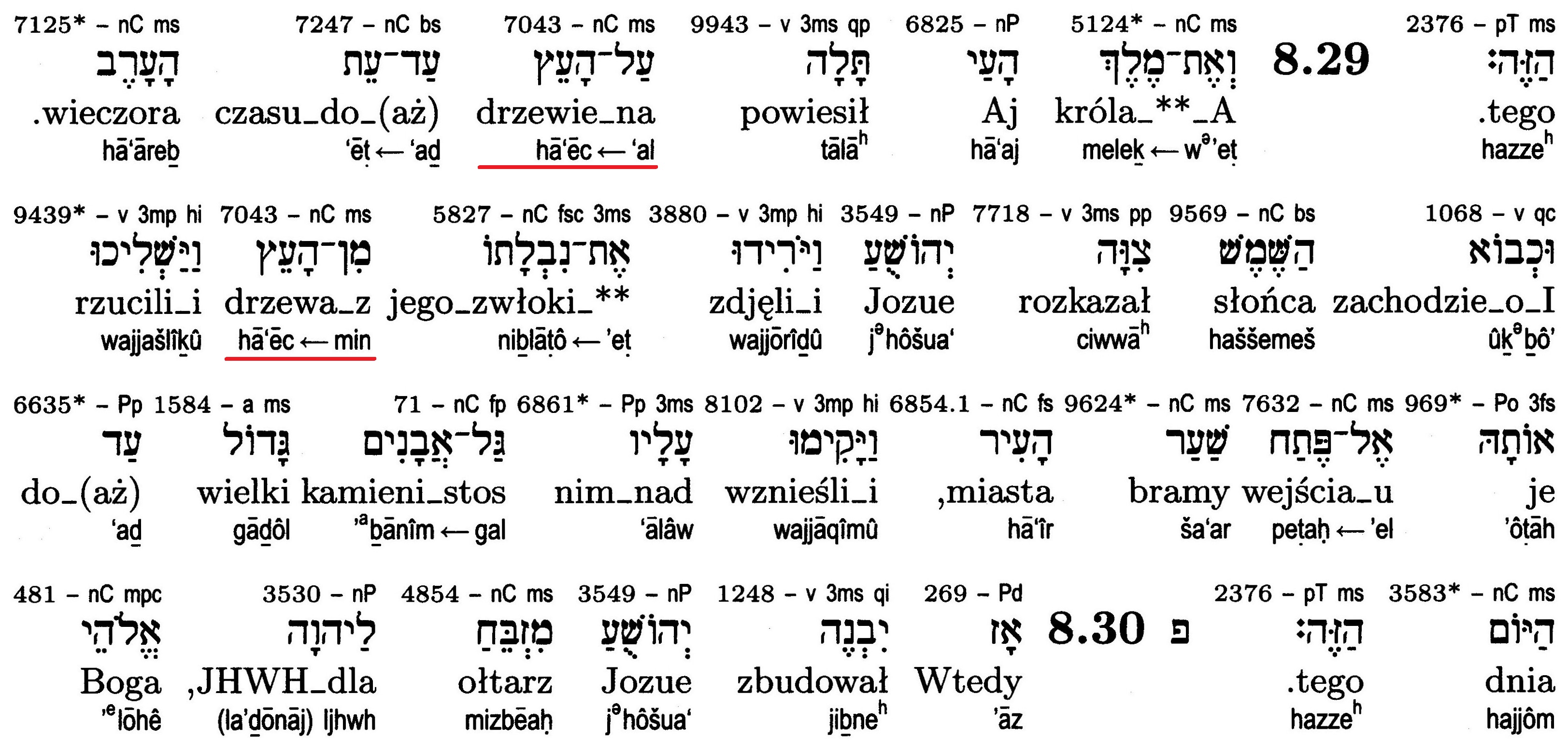 Prorocy