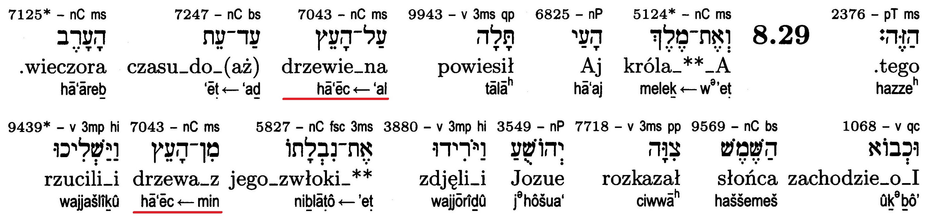 Prorocy