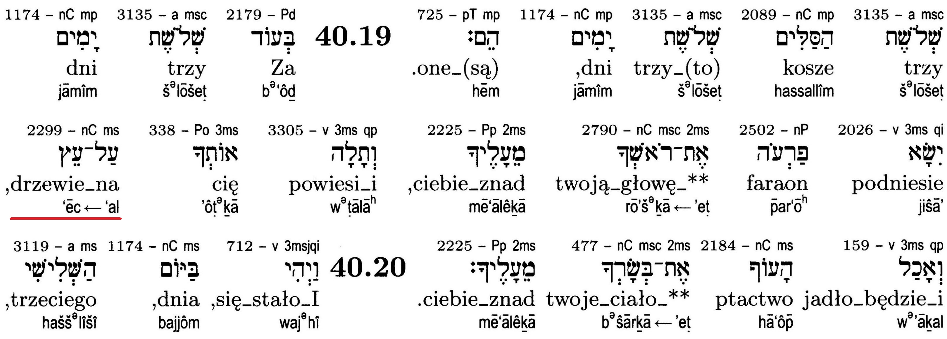 New World Translation of the Holy Scriptures