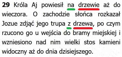 Biblia Tysiąclecia Pallottinum
