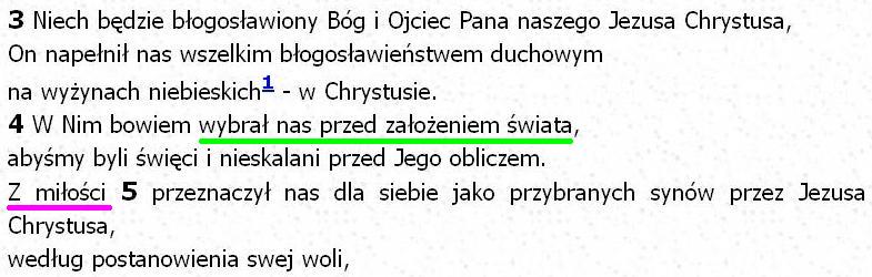 Biblia Tysiąclecia Pallottinum