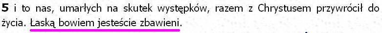 Biblia Tysiąclecia Pallottinum
