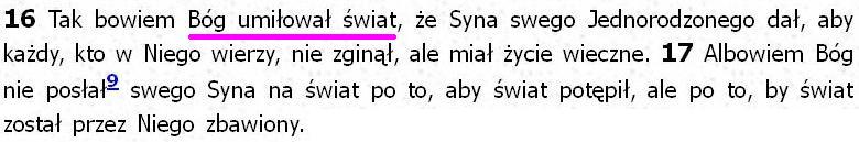 Biblia Tysiąclecia Pallottinum