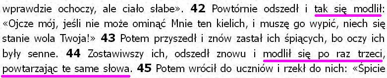 Biblia Tysiąclecia Pallottinum